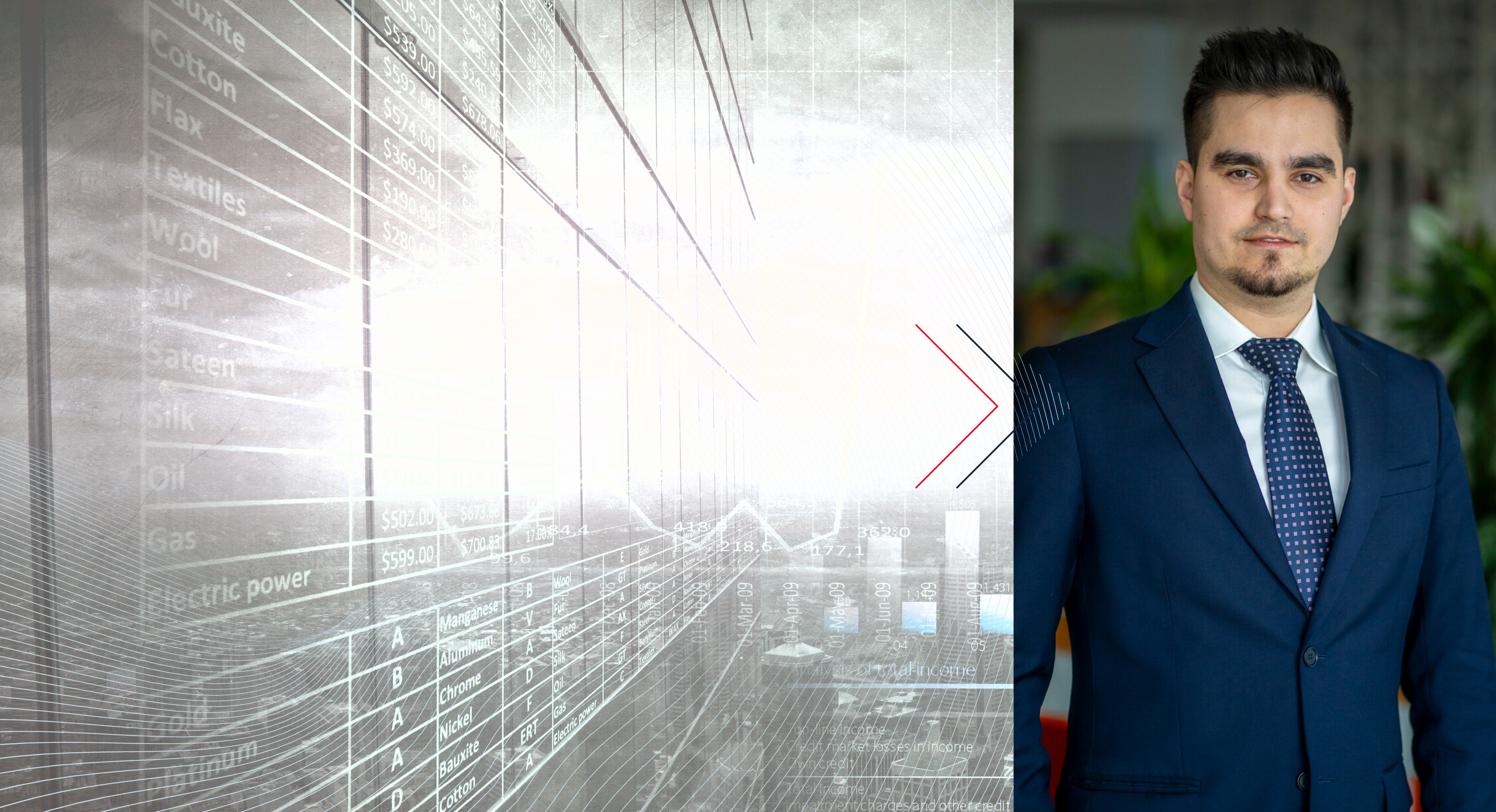 NRCC ECONOMIC OUTLOOK BY ING 2026 CLUJ